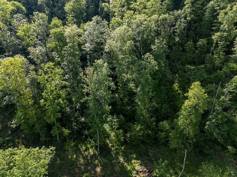 DJI_20250524070704_0359_D