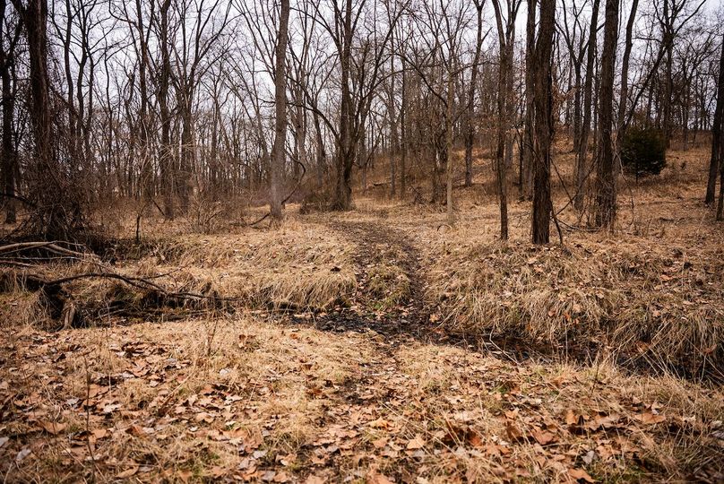 Pike IL 96.87 Adv Pro Photo-30