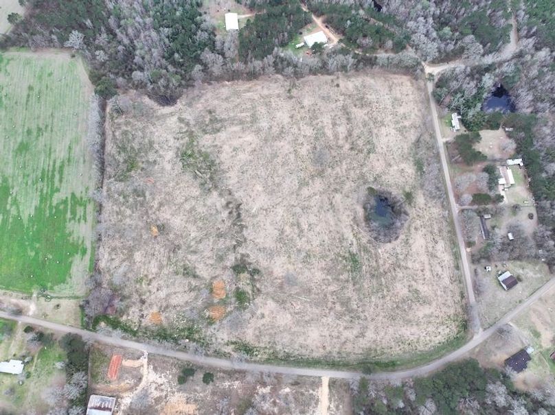 Copy of Copy of dji_fly_20260217_143546_0150_1771436905585_photo