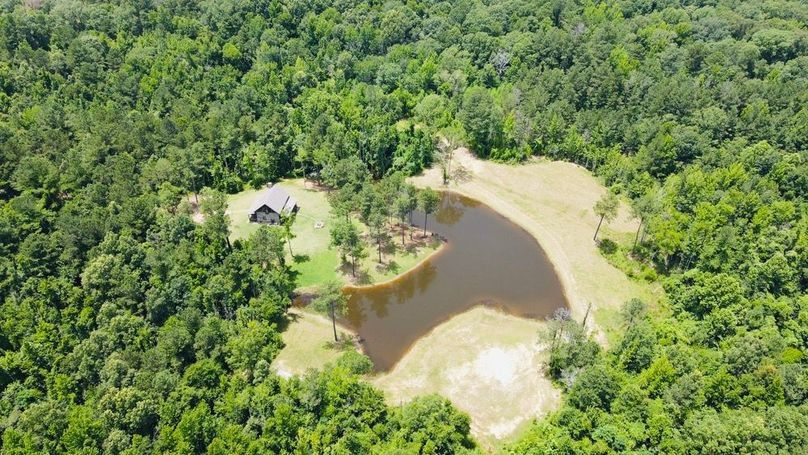 dji_fly_20250618_133604_844_1750271775985_photo