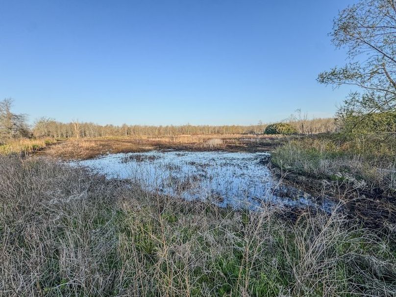 Panola 164.7 SPI Land Ventures-45