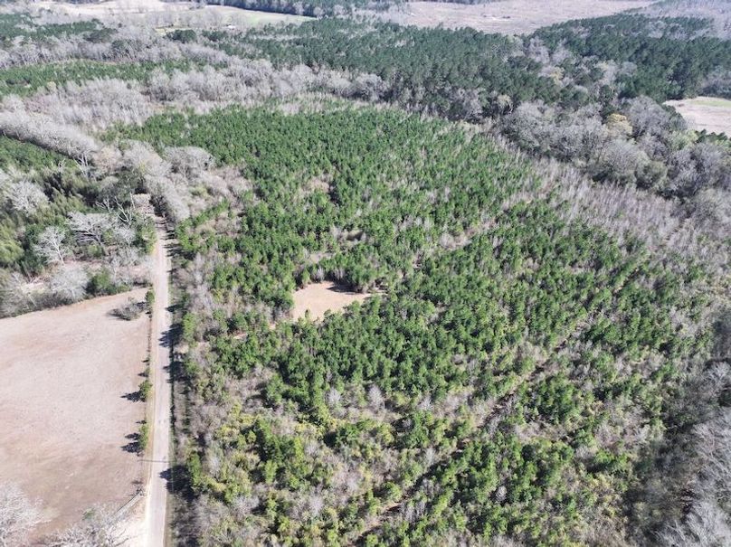 dji_fly_20260302_130654_0347_1772559698354_photo