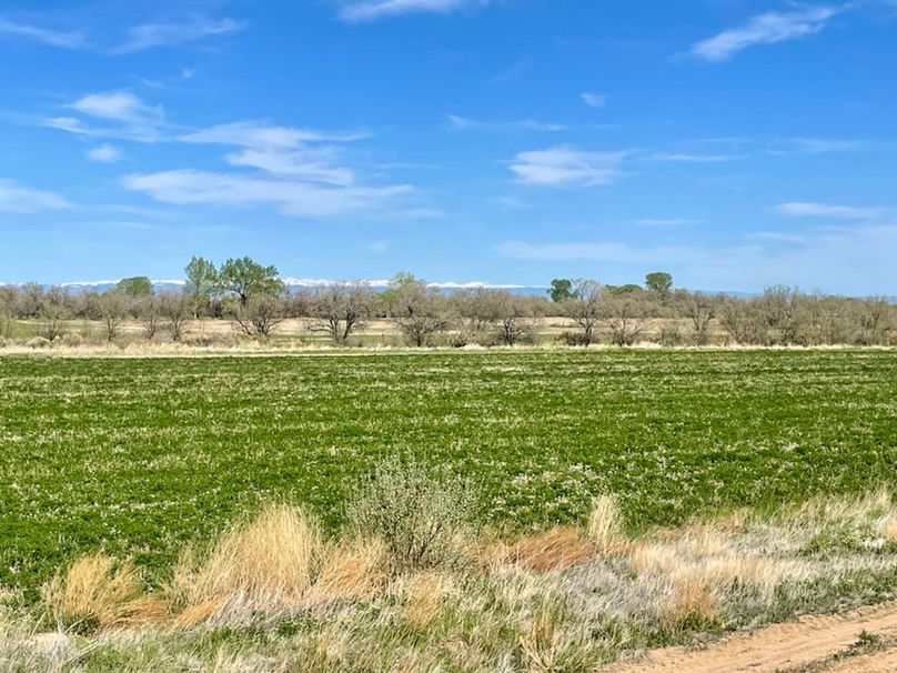 382C3D15-347B-46BB-8834-A442AF017838_1_105_c