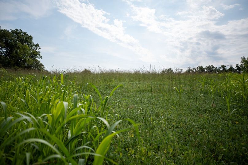 MCHENRY 32 RECENT UPDATES-29