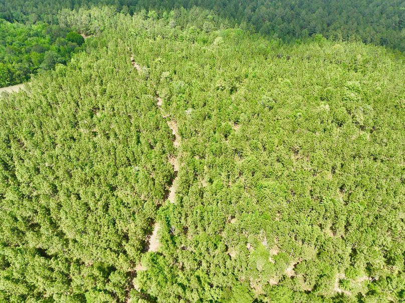 dji_fly_20230426_150824_322_1682536336430_photo