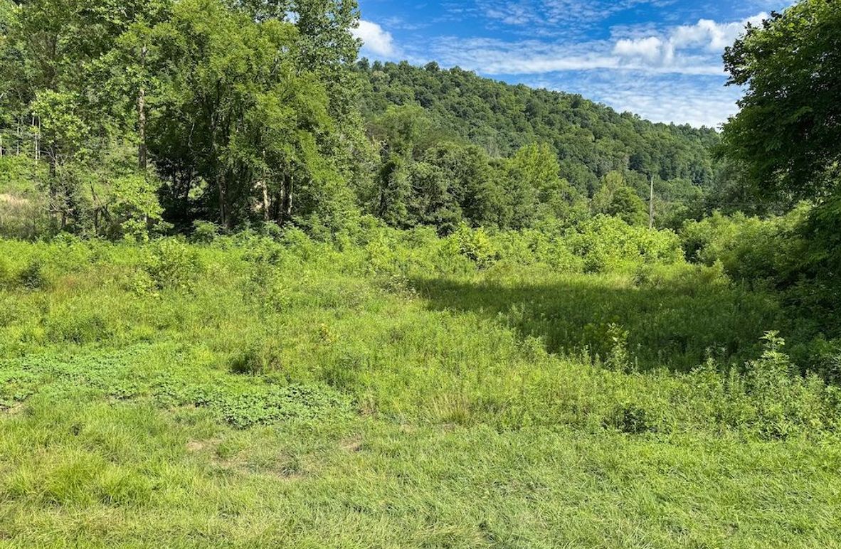 004 nice flat bottom land along the creek