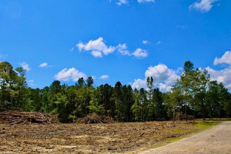 360BD59F-D8F9-4B04-BCF6-5DDB1E2F5409_1_105_c