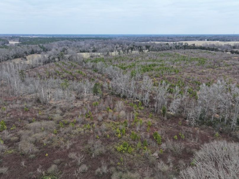 dji_fly_20251224_112600_0179_1767705809445_photo