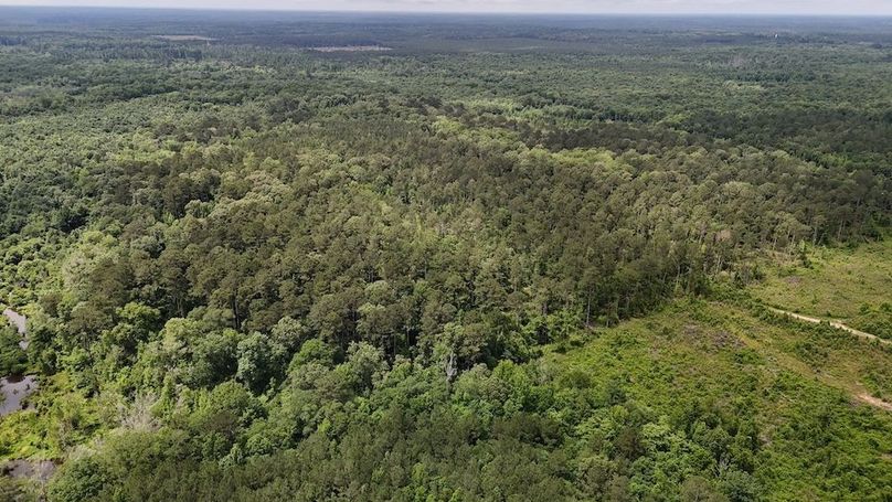 Copy of DJI_20250530002323_0553_D