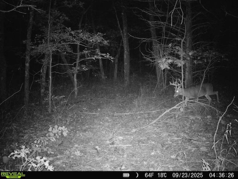 868032068046261-90-2-09232025062306-HD-SYFW0887