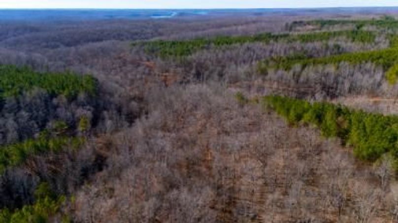 MCKINNON TRACT 29-16