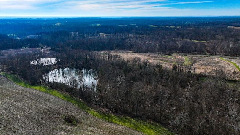 dji_fly_20260321_100934_0020_1774103523252_photo