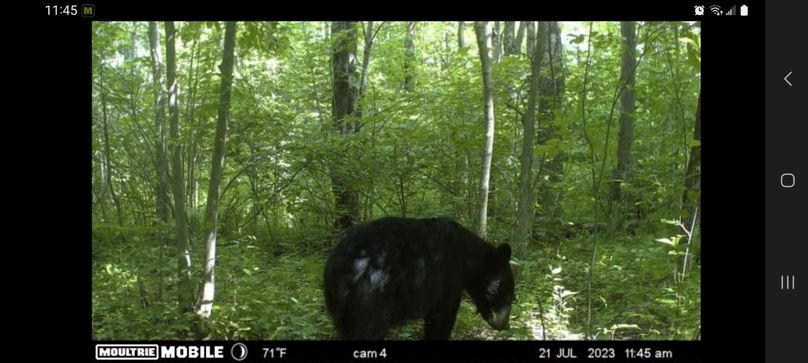 received_1060486581932828