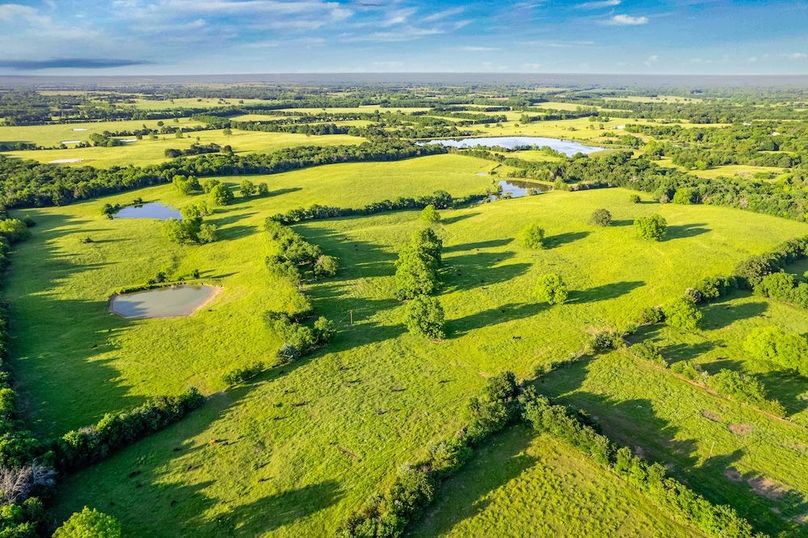 Fannin County- 134.4 acres-14