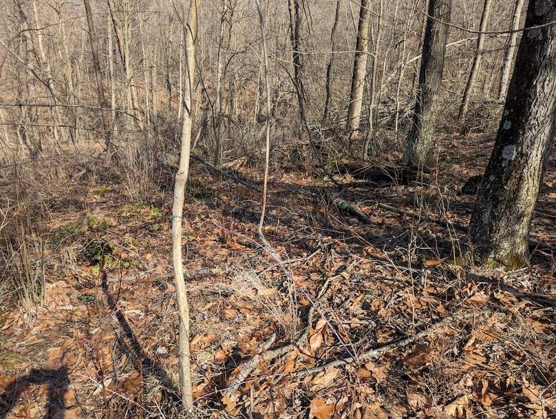 PXL_20240223_163914604