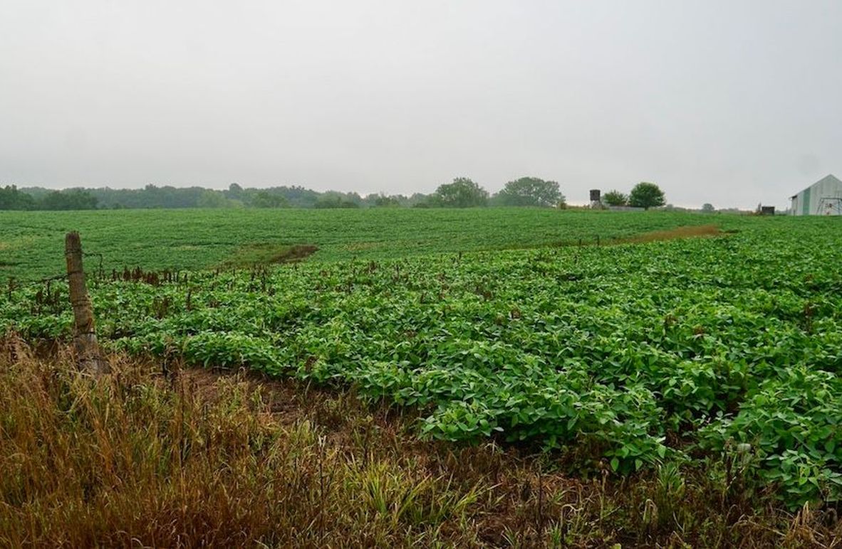 4A29DA0D-9A3B-4853-8DFF-006DE6C131BC_1_105_c