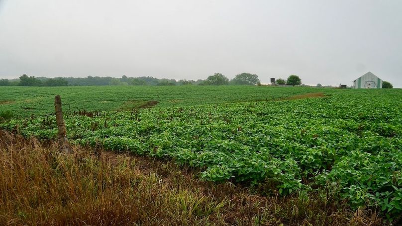 4A29DA0D-9A3B-4853-8DFF-006DE6C131BC_1_105_c