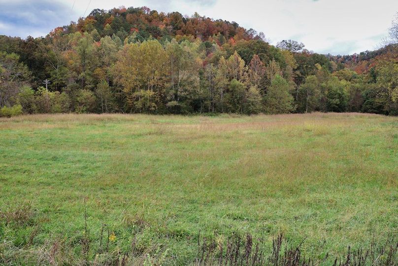 038 more groomed fields