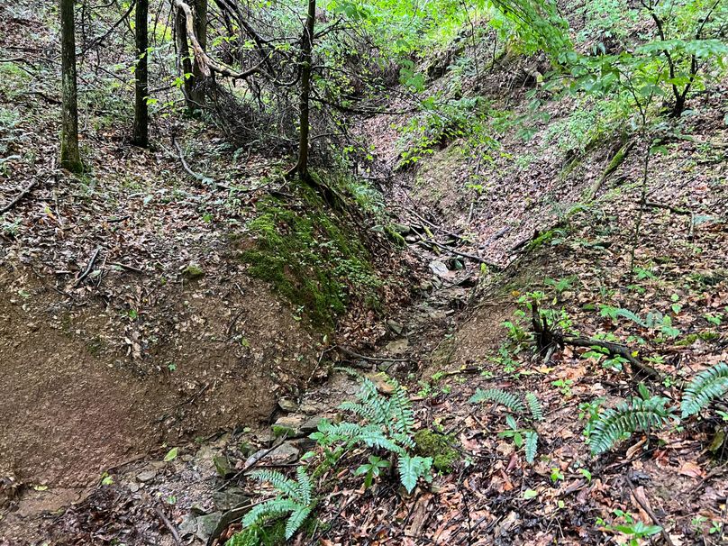 Wirt, WV 150.75 AC Tinnell-10