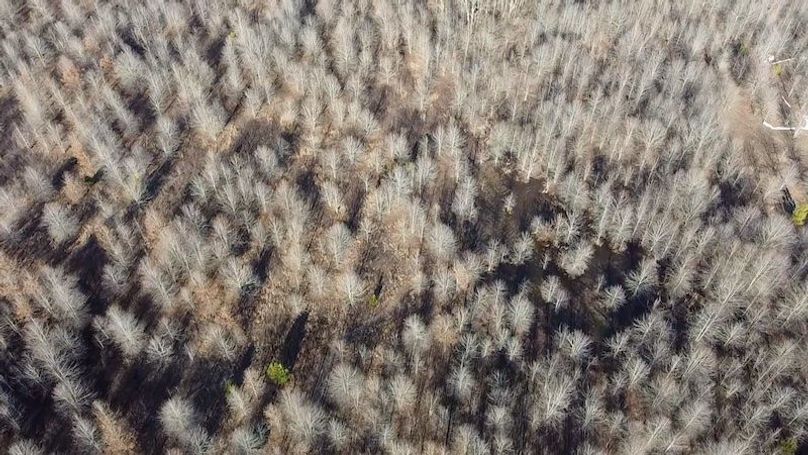 2024-01-30-15-48-45-451