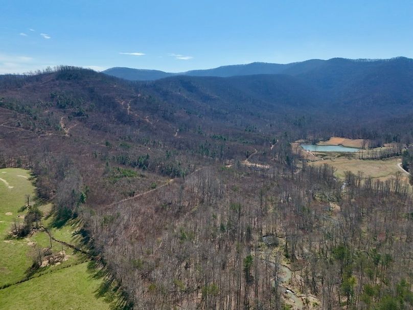 Morgan Co TN 310.833 Schneller_82