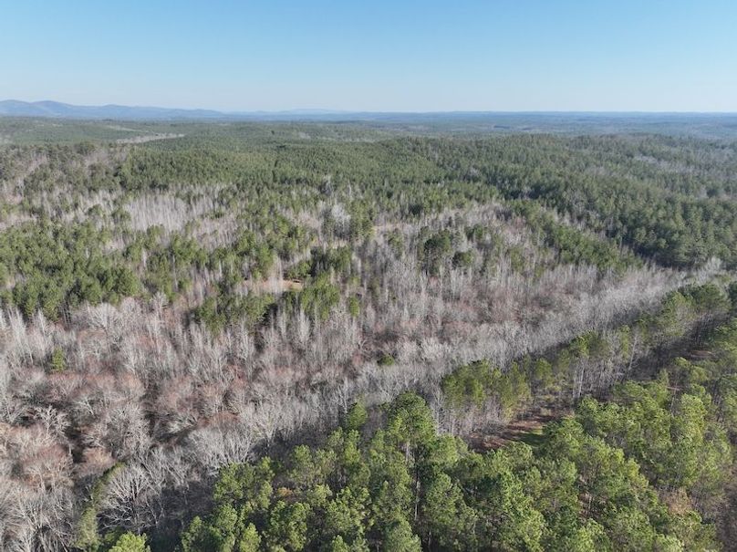 DJI_0931