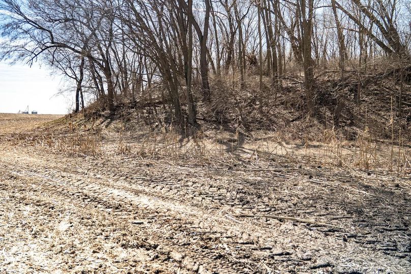 Whiteside IL 49.22_13