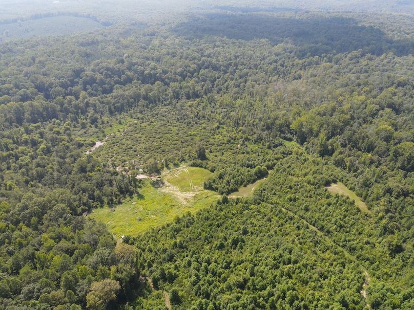 dji_fly_20250729_105054_798_1753800871193_photo