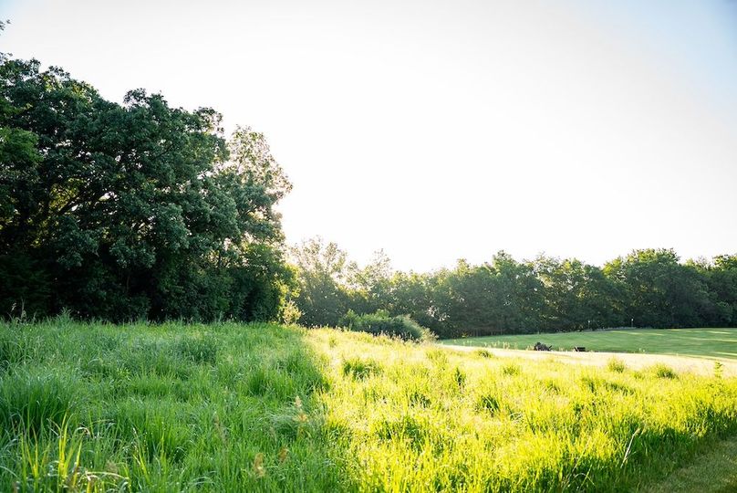 Fillmore 48.25 New Updates-34