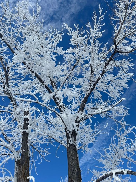 29EEB6B6-03B4-4B33-8C28-5AEF09553A1C_1_105_c