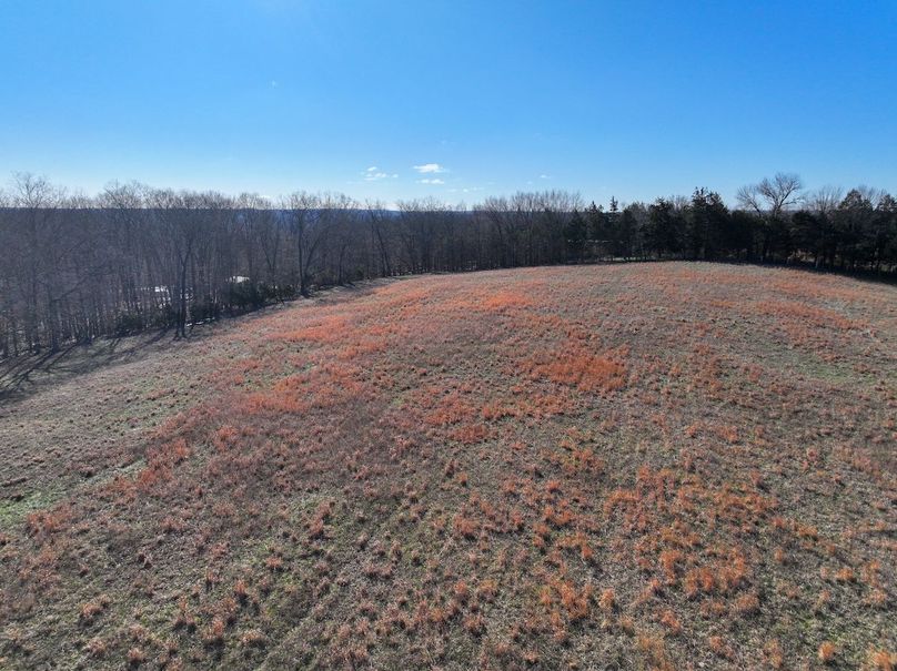 DJI_20260317093701_0988_D