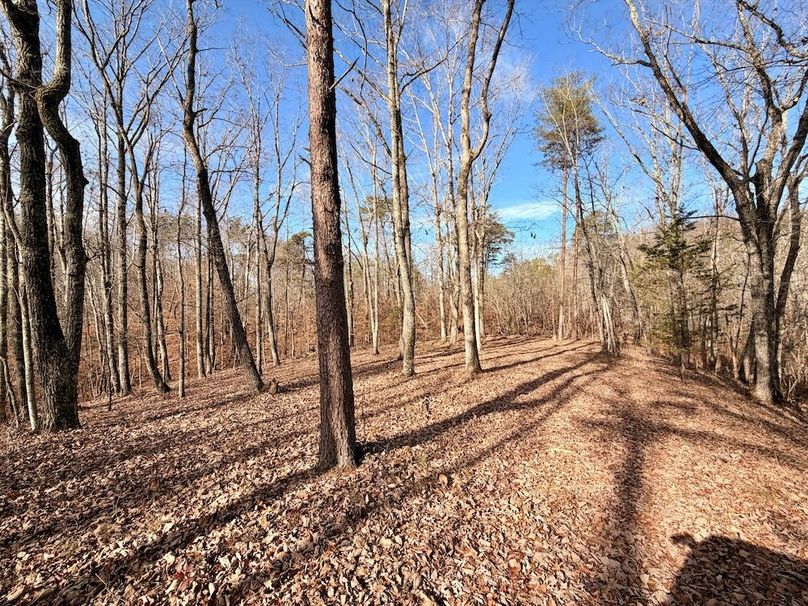 Roane Co TN 396 20251127_19