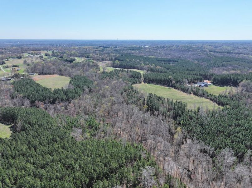 dji_fly_20260325_115558_0647_1774539299748_photo