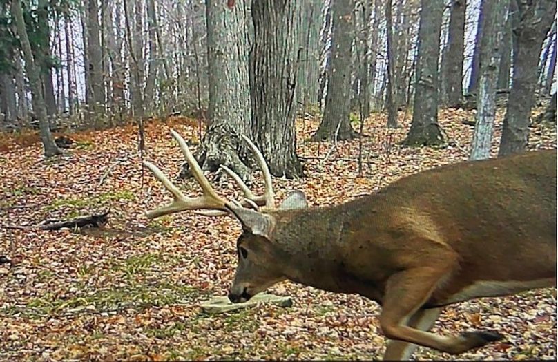 Screen Shot 2025-10-07 at 11.39.04 AM