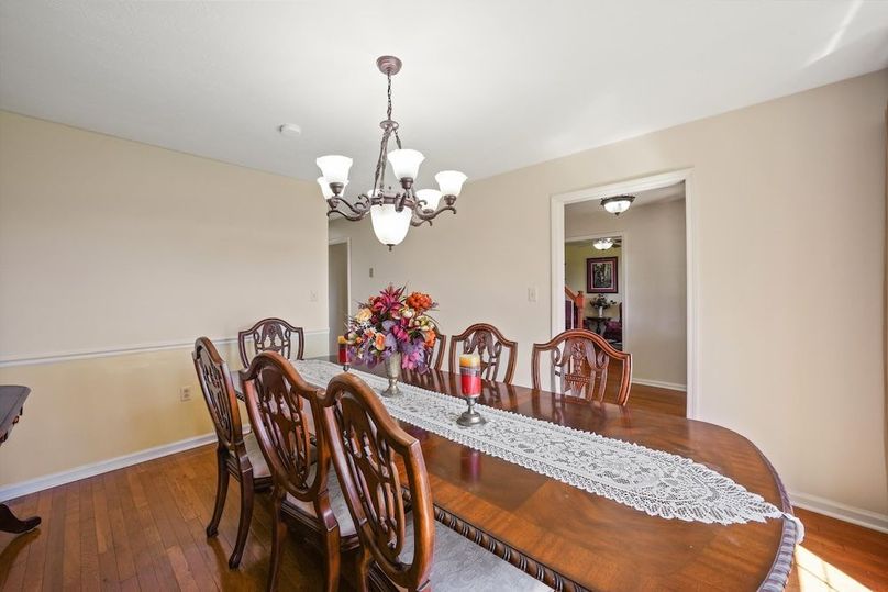 07-2869 Persian Ln04