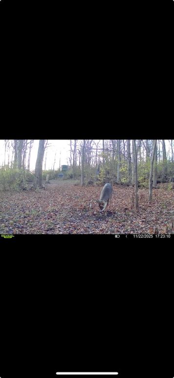 Screenshot 2026-01-06 at 4.31.29 PM