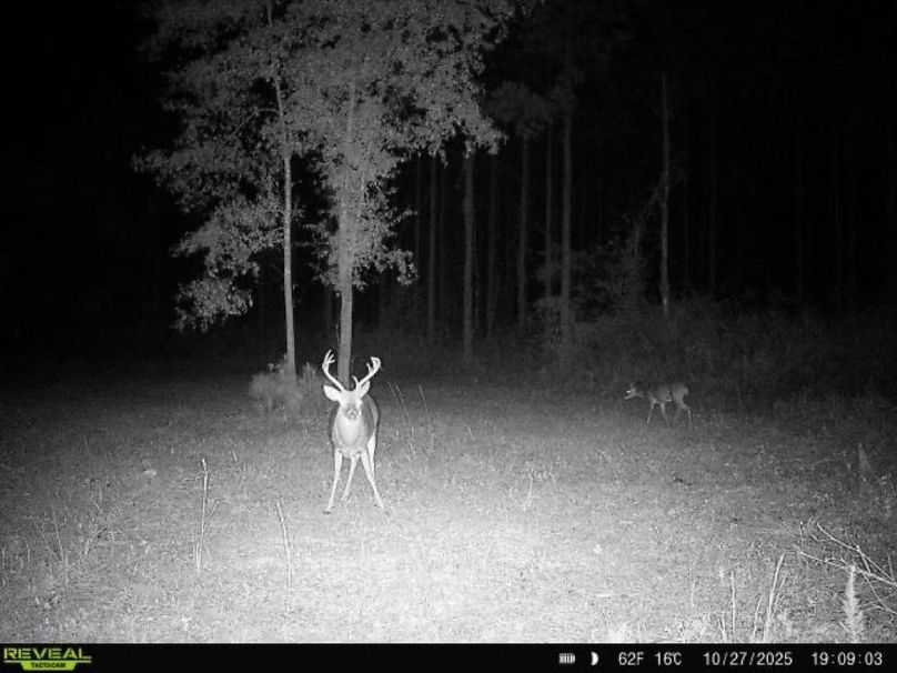 868032065110607-100-2-10272025190902-W1030181