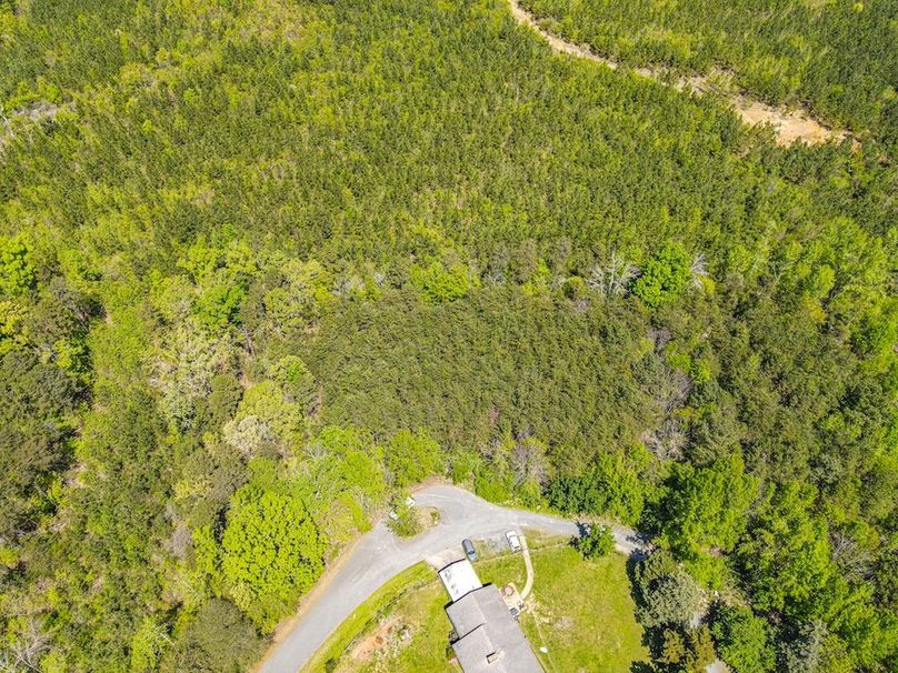 dji_fly_20250414_124858_348_1744649372435_photo