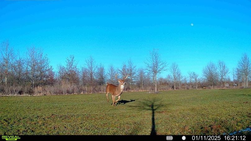 016579000474077-100-3-01112025181848-HD-SYFW01773