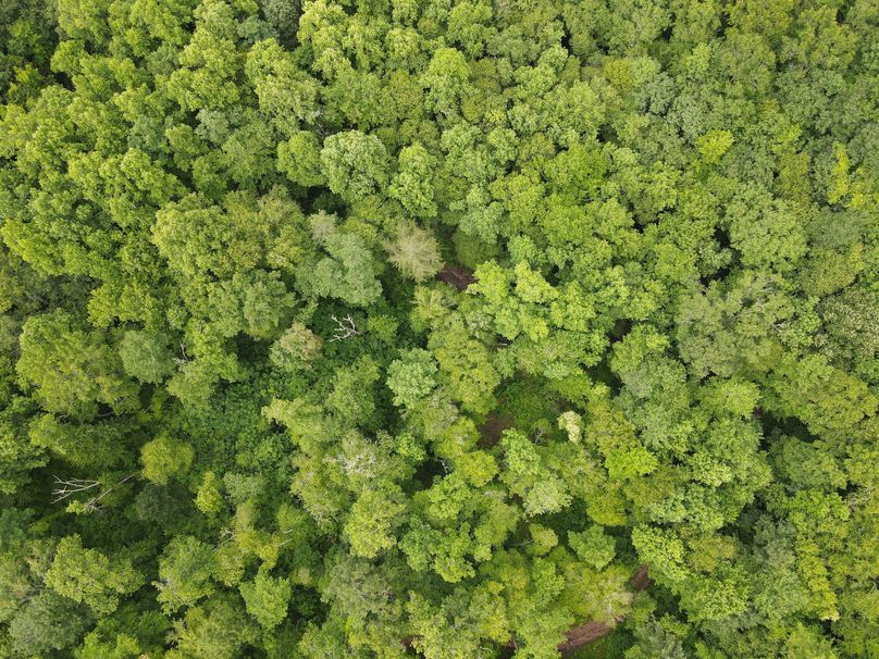 Swain 39 Tysinger-20