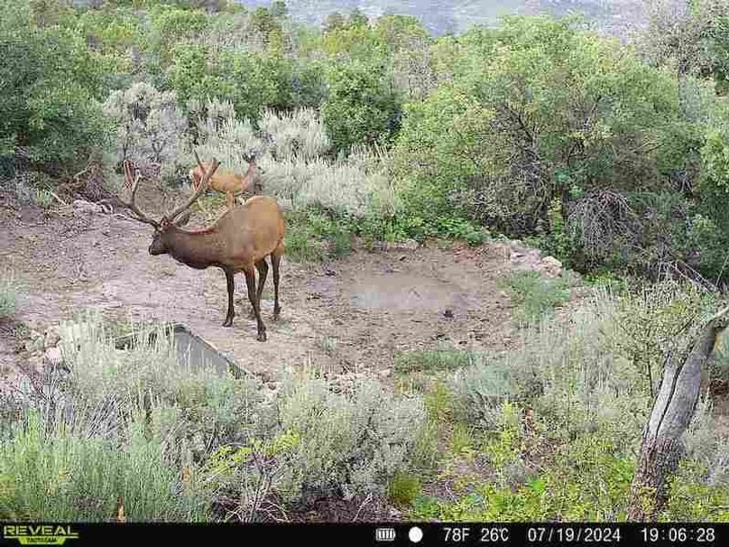 860516060007964-100-2-07192024190628-V-W1002054