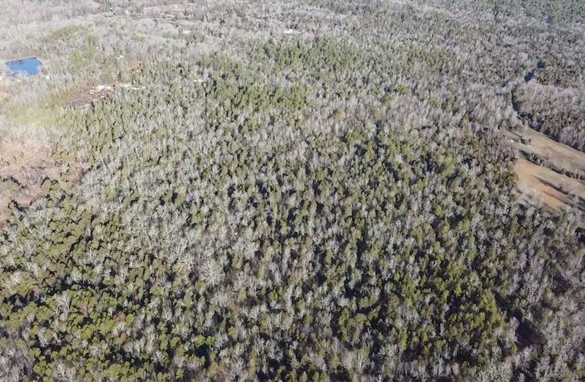 2024-02-06-09-03-16-532