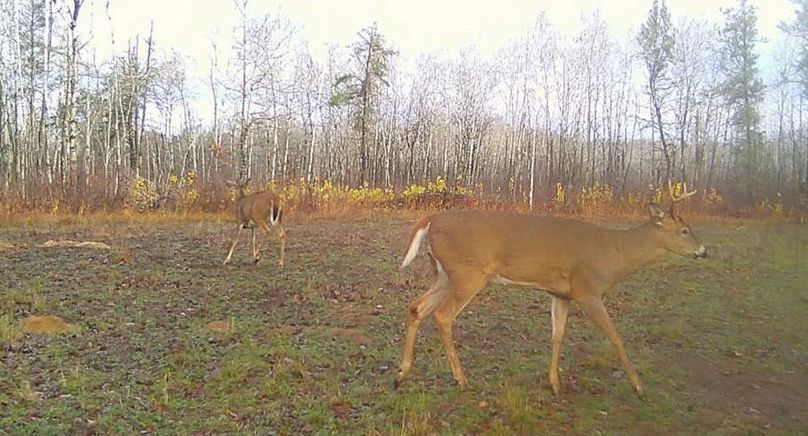 25102909312601000796 (1)