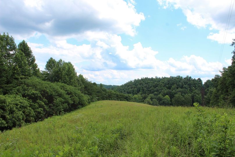 062 open field area leading down a secondary point in the western area