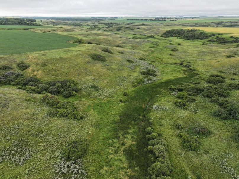 DJI_20250704133548_0612_D