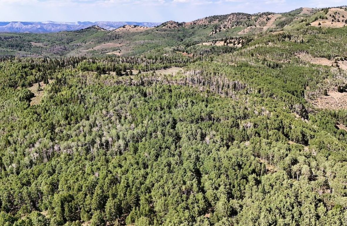 DJI_20250726161932_0010_D