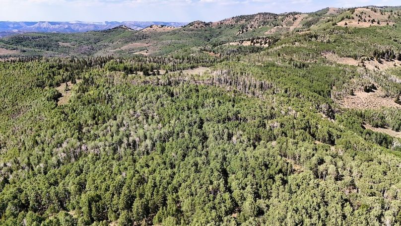 DJI_20250726161932_0010_D