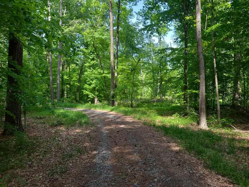 26.48ac_McKenneyLn_QAnnes_18