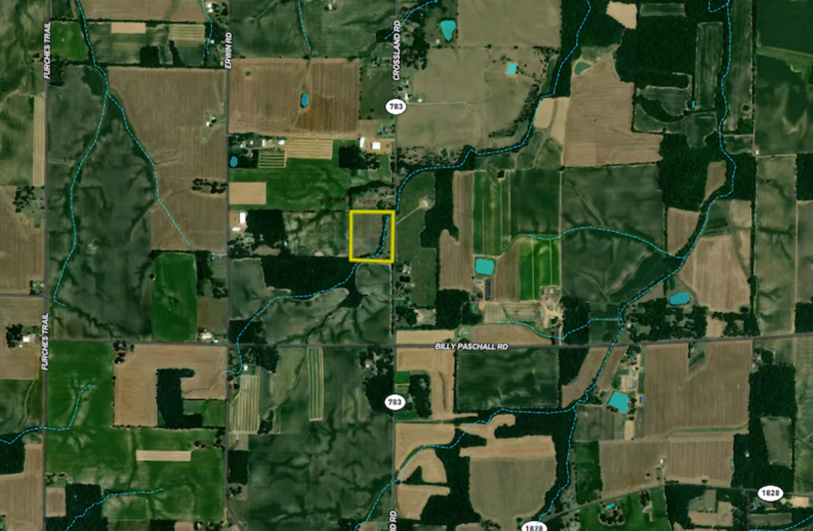 Screen Shot 2025-07-31 at 9.25.59 PM