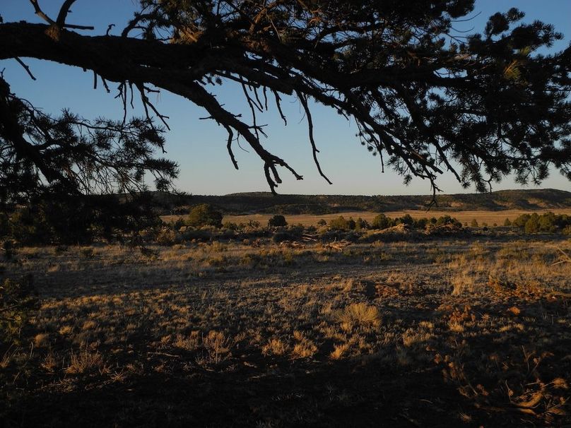 38_Pratt habitat sunset